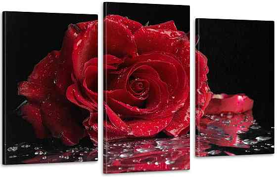 Модульная картина Цветы Роза Art-101_3 70x130 см Киев