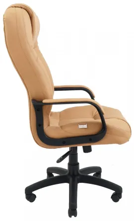 Офісне Крісло Керівника Richman Seville Fly 2239 Пластік Річ М1 Tilt Бежевий Київ
