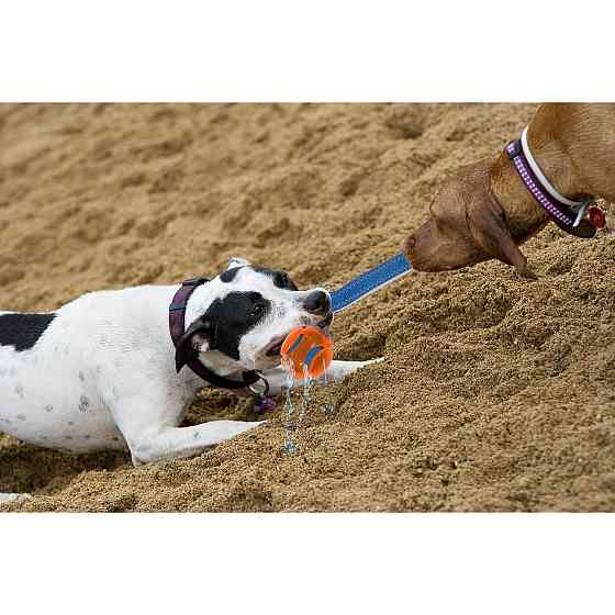 М'ячики з ременем Chuckit! HydroSqueeze Duo Tug іграшка для великих собак, розмір L Вінниця