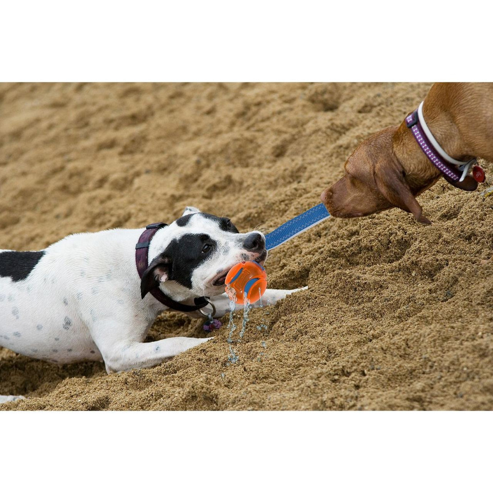 М'ячики з ременем Chuckit! HydroSqueeze Duo Tug іграшка для великих собак, розмір L Вінниця - фото 5