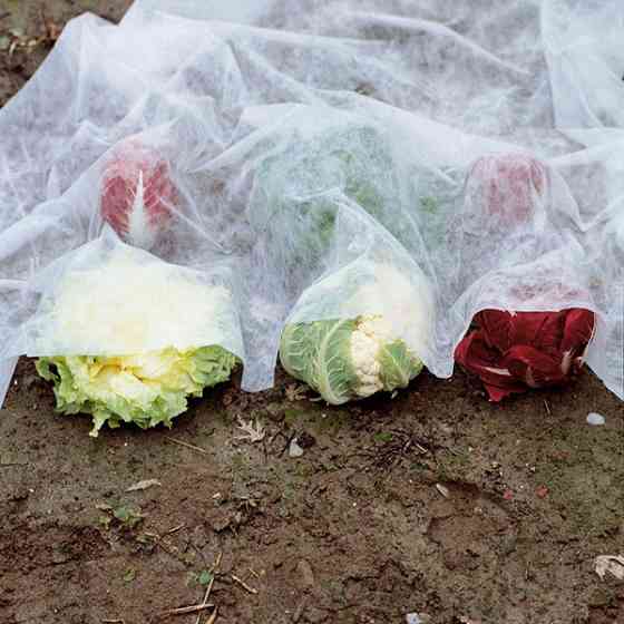 Захисний нетканий матеріал, 2x10 м, арт. 6747 Київ