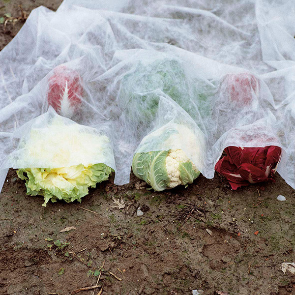 Защитный нетканый материал, 2x10 м, арт. 6747 Киев - изображение 3