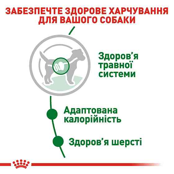 Вологий корм для дорослих собак ROYAL CANIN MINI ADULT IN GRAVY 0.085 кг Київ