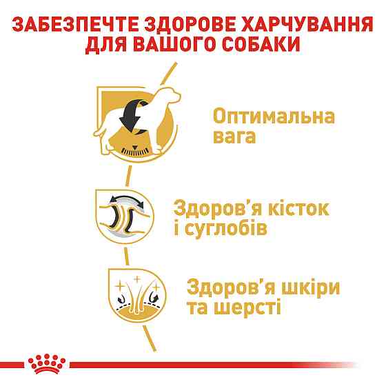 Корм для дорослих собак породи Лабрадор-ретривер ROYAL CANIN LABRADOR ADULT 12.0 кг Київ