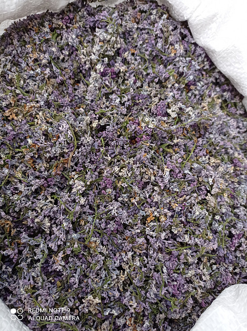 1кг. Сирень (цвет) MasterSEM Киев - изображение 1