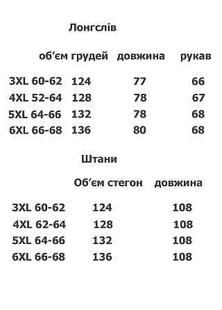 Пижама мужская брюки и лонгслив флис большая SN3014 4XL Киев