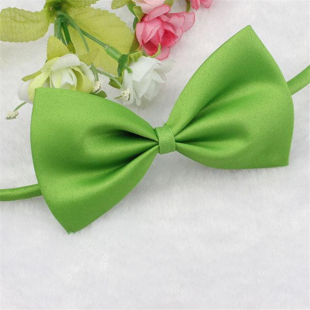 Бабочка бантик для собак или кошек зеленый Киев - изображение 1