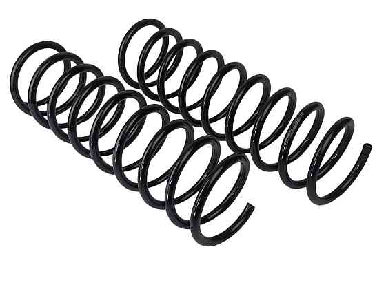 Пружина підвіски 2101 (к-кт 2 шт) задній Мукачево