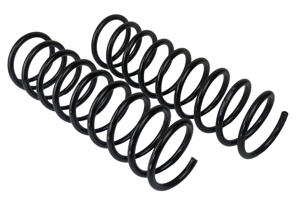 Пружина підвіски 2101 (к-кт 2 шт) задній Мукачево - фото 1