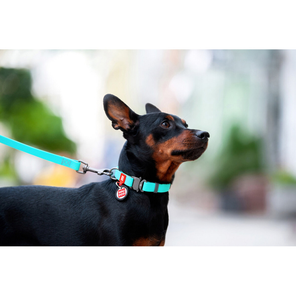 Ошейник для собак водостойкий WAUDOG Waterproof c QR паспортом, светонакопительный, металлическая пряжка-фастекс, Ш 25 мм, Длинна 34-49 см Киев - изображение 4