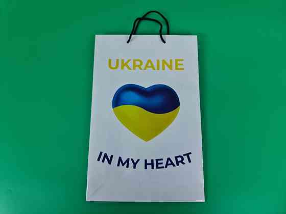 Большой бумажный пакет вертикальный  25/37/8(артBV-191) (12 шт) Харьков