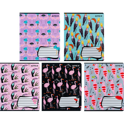 Тетрадь Kite BBH 18 листов, клетка (K24-236-1) Винница - изображение 1