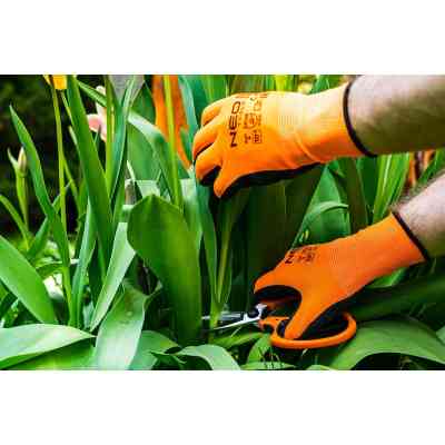 Ножиці садові Neo Tools 18.5мм, 115г (15-215) Вінниця