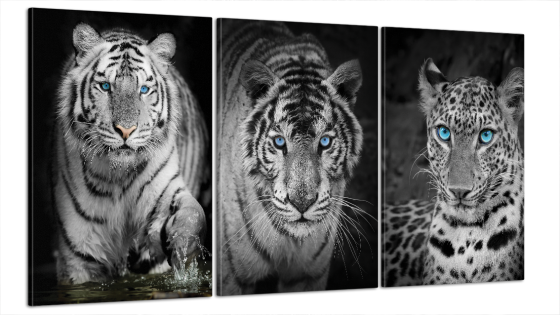 Модульна картина Тигр Art-43_B3 Київ