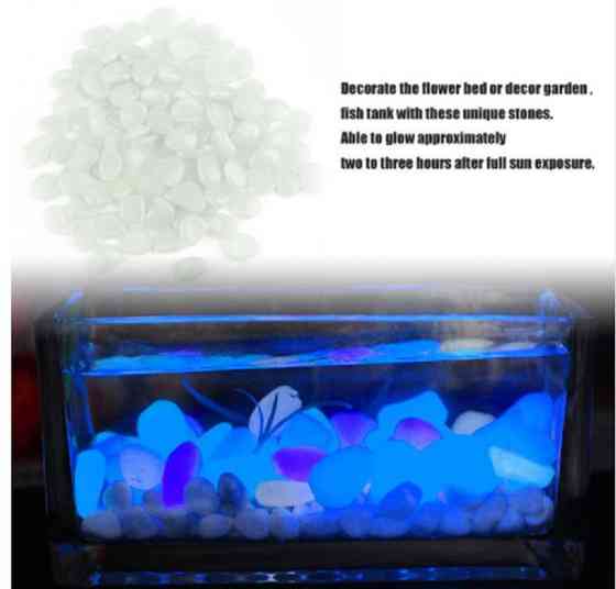 Фосфорні камені в акваріум та сад 10 штук сірий Київ