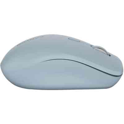 Мышка Canyon MW-12 Wireless/Bluetooth Blue (CNS-CMSW12BL) Винница