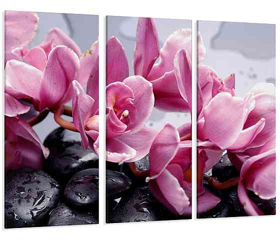 Модульная картина Цветы Орхидеи на  Камнях Art-16_XXL 53x100 см Киев