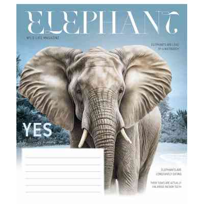 Зошит Школярик Fauna magazine 12 аркушів клітинка (012-3428K) Вінниця