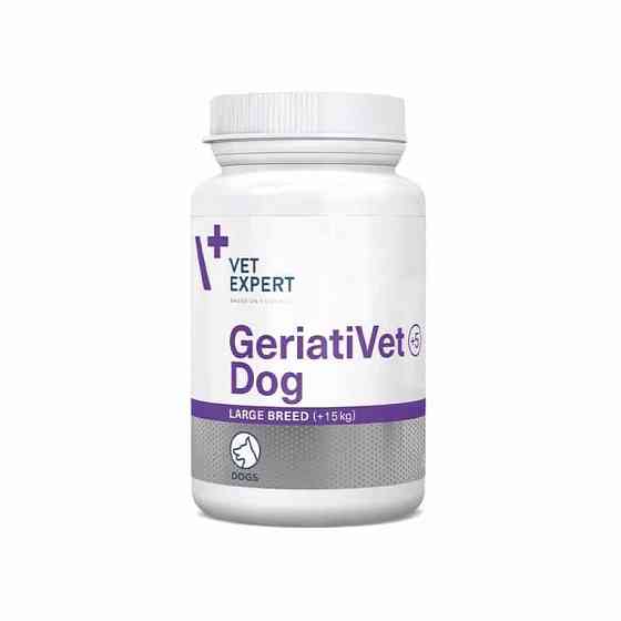 Пищевая добавка VetExpert GeriatiVet Dog Large Breed для стареющих собак весом от 15 кг, 45 таблеток Винница