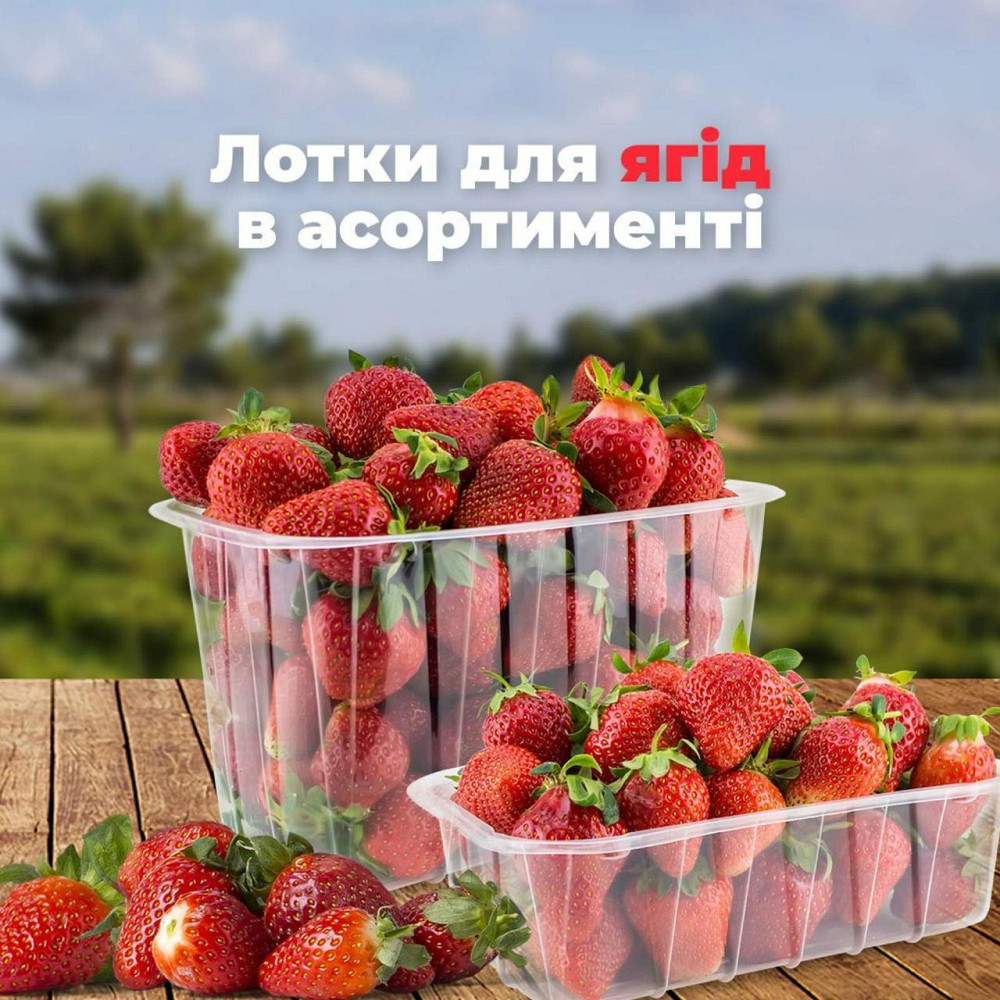 Лоток 0,5 кг, блістер одноразовий для ягід Флексопринт Павлоград - фото 3