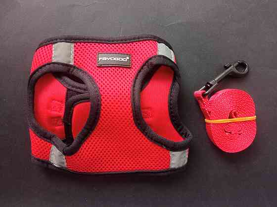 Шлея для собак з повідцем розмір М (товар вживаний) Луцк