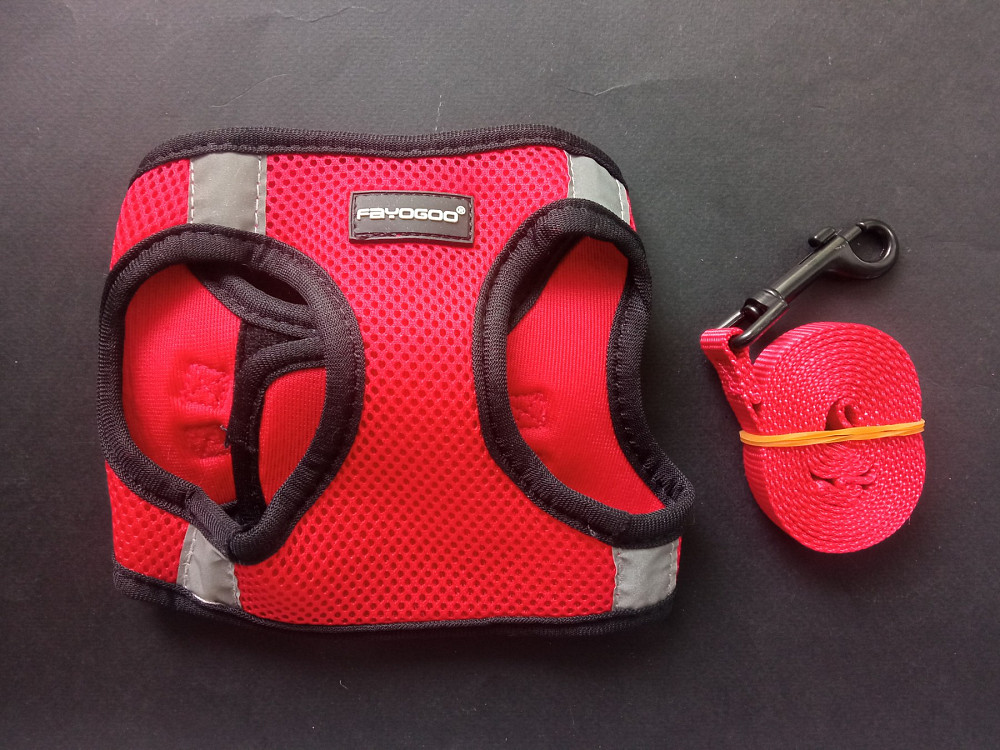 Шлея для собак з повідцем розмір М (товар вживаний) Луцьк - фото 4