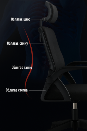 Кресло офисное Diego ErgoFlex сетка черное Киев