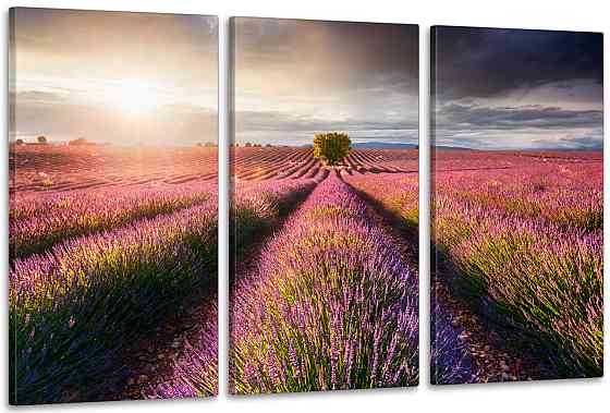 Модульна картина у вітальню/ спальню     Лаванда      ART-058_3A Київ