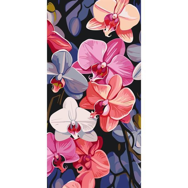 Картина по номерам ArtCraft Яркие орхидеи 40х80 см (13072-AC) Харьков - изображение 3