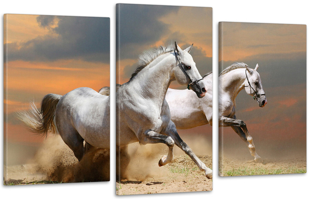 Модульная картина Природа Лошади Art-81_3 100x150 см Киев - изображение 1