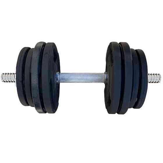 Гантель наборная металлическая Home Profi TI-968-17, 16,5 кг Винница