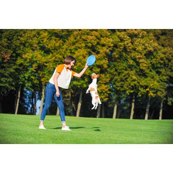 Ігрова тарілка для апортировки PitchDog, діаметр 24 см блакитний Коломыя