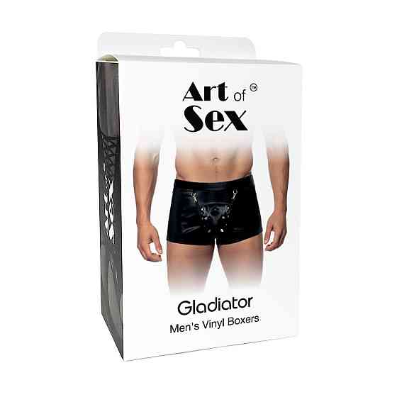 Мужские трусы с сюрпризом Art of Sex - Gladiator, черные с эффектом мокрого бархата, размер L Sex Aura Киев