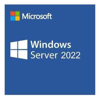 ПЗ для сервера Microsoft SQL Server 2022 - 1 User CAL Commercial, Perpetual (DG7GMGF0MF3T_0002) Вінниця