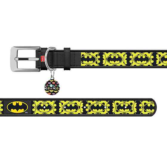 Ошейник для собак кожаный WAUDOG Design с QR паспортом, рисунок 