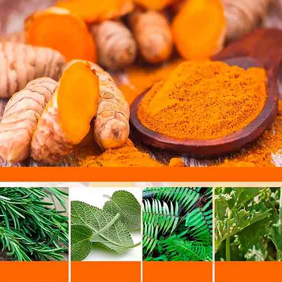 Олія для росту волосся 35мол LUNOON SBR Київ