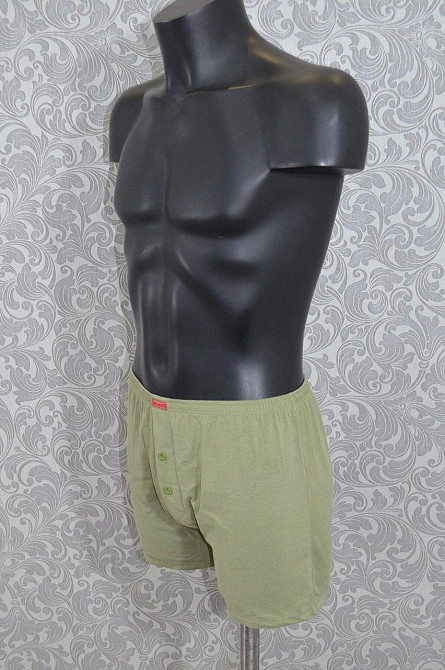 Труси чоловічі бокси Lans 01/004 XL, Хакі Київ - фото 1