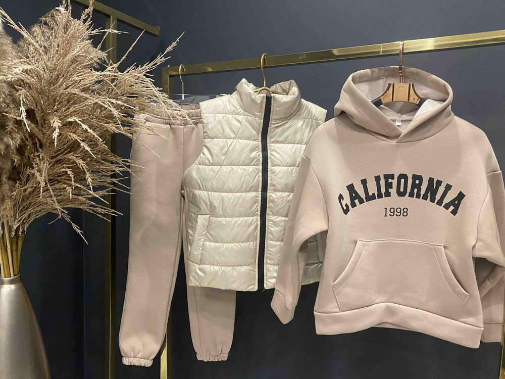 Детский теплый подростковый спортивный костюм тройка с жилеткой для девочек 3нитка флис 146,158 Николаев - изображение 1