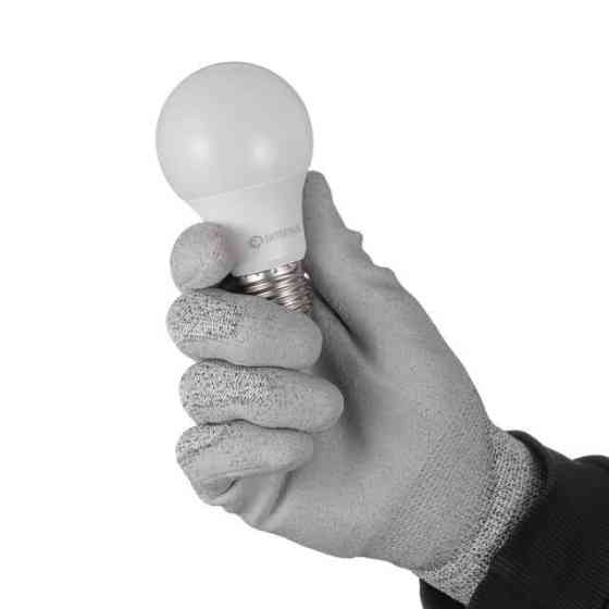 Лампи світлодіодні, набір 4 од., LL-0014, LED A60, E27, 10 Вт, 150-300 В, 4000 K, 30000 год, гарантія 3 роки INTERTOOL LL-4014 Київ