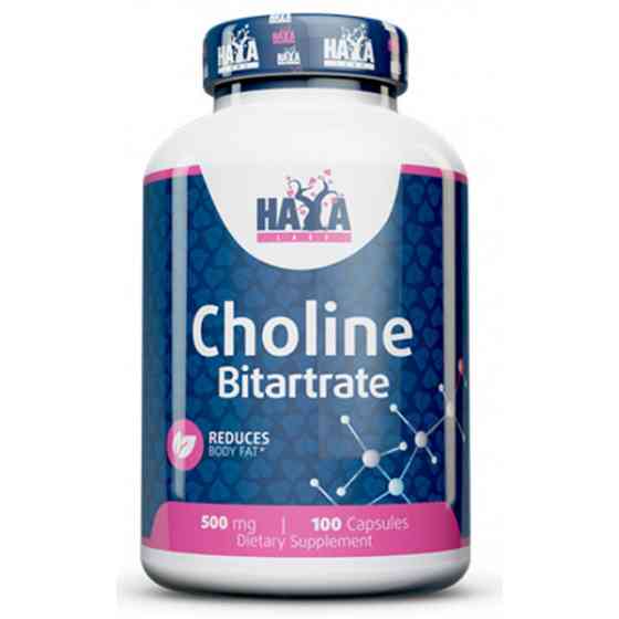Холін бітартрат Haya Labs Choline Bitartrate 500mg 100 Caps Луцьк