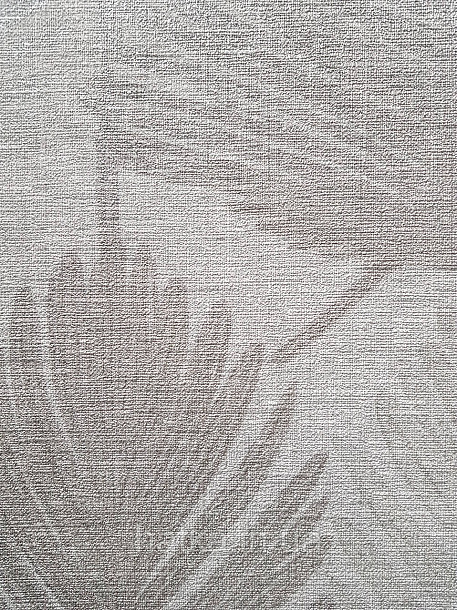 Шпалери вінілові на флізеліні AS creation Metropolitan stories By Time 0,53х10 листя папороті сріблясті білі Київ - фото 2