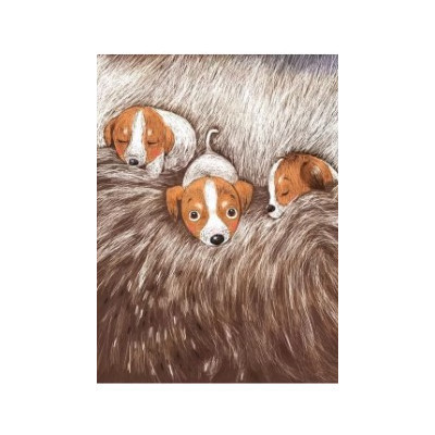 Книга Буду як Патрон - Катажина Ририх Vivat (9786171701335) Вінниця - фото 4