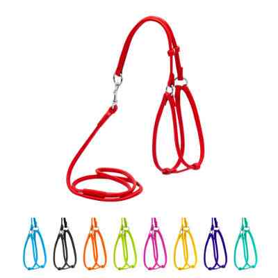 Шлей для собак WAUDOG Glamour круглая, с поводком XS красная (34023) Винница