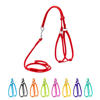 Шлей для собак WAUDOG Glamour круглая, с поводком XS красная (34023) Винница - изображение 1