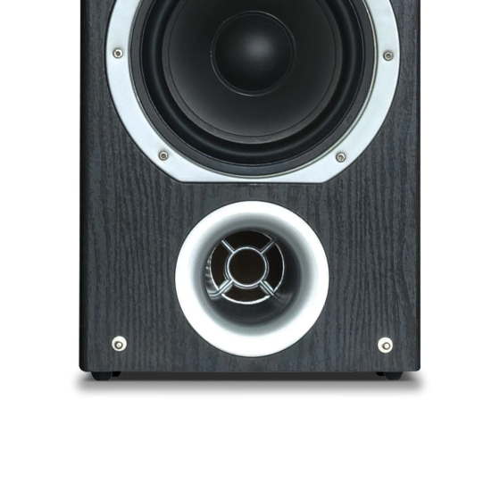 Пара 4-смугових динаміків 4 x 6,5 дюйма, 300 Вт RMS FENTON Рівне