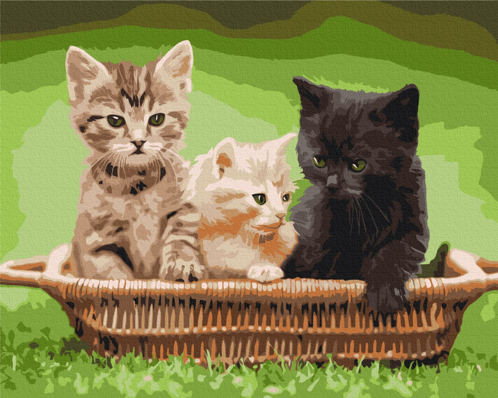 Кошенята в кошику Київ - фото 1