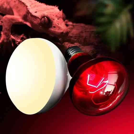 Инфракрасная лампа 50Вт для обогрева террариума и растений Киев