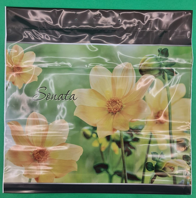 Поліетиленовий пакет з пластиковою ручкою"Соната" без ручки (10 шт) Харків - фото 1