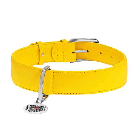 Нашийник для собак шкіряний WAUDOG Glamour з QR паспортом, без прикрас, Ш 35 мм, Дов 46-60 см ж Коломия