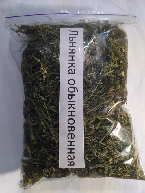 Льнянка звичайна (Льнянка обыкновенная)100г master sem Киев - изображение 3